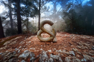 AI generated photography of Raine & Horne's iconic ampersand as 'Part of the Landscape' in the forests of the Blue Mountains NSW